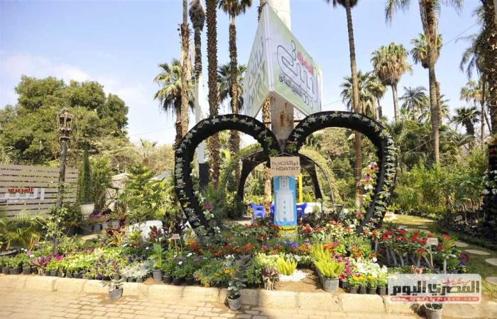 المصري اليوم - اخبار مصر- وزير الزراعة : 12 ألف صنف من نباتات الزينة في معرض الزهور (فيديو) موجز نيوز
