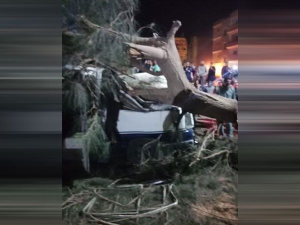 إصابة 7 أشخاص إثر سقوط شجرة على ميكروباص بالمنوفية