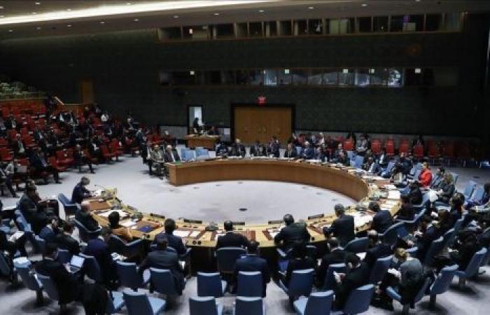 مجلس الأمن يمدد آلية مراقبة الحدود بين الخرطوم وجوبا لمدة شهر