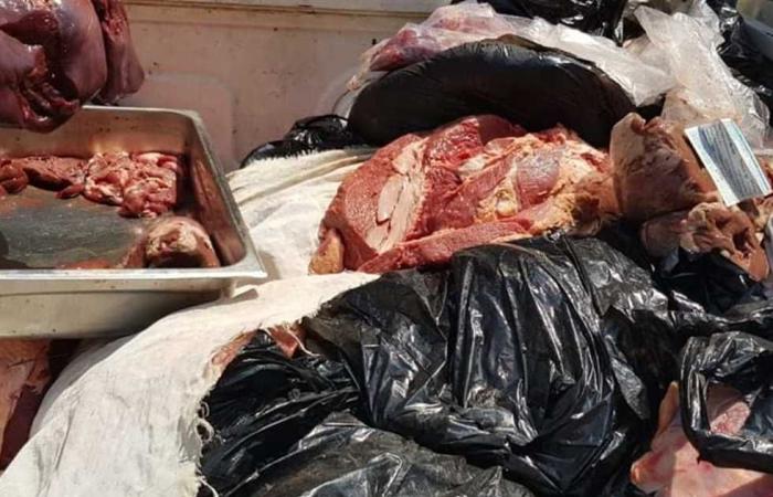 #المصري اليوم -#حوادث - القبض على مالك ثلاجة لحوم بحوزته 14 طن «أحشاء حيوانية» فاسدة موجز نيوز