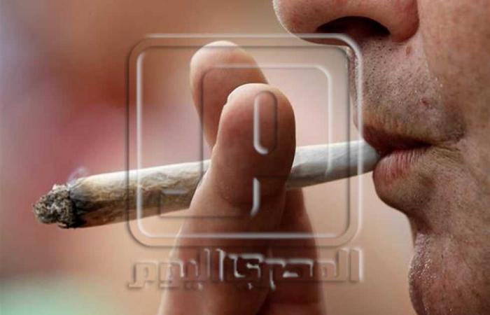 #المصري اليوم -#حوادث - جمارك الطرود البريدية بالقاهرة تضبط 3 محاولات تهريب عدد من بذور مخدر الماريجوانا   موجز نيوز