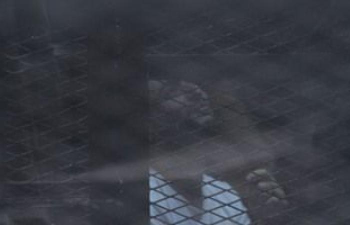 #اليوم السابع - #حوادث - زى النهارده.. مفتش مباحث قصر النيل يؤكد أمام المحكمة تورط أحمد دومة بأحداث الوزراء