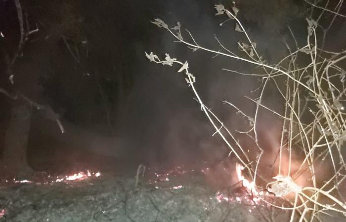 الوفد -الحوادث - حريق هائل في منطقة أبو الريش بأسوان موجز نيوز