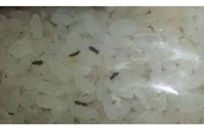 الوفد -الحوادث - ضبط 40 طن أرز تمويني به حشرات وميته بعين شمس موجز نيوز