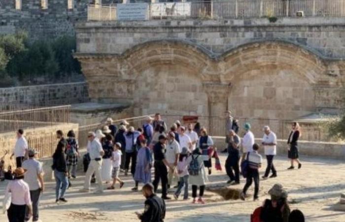 تشديد الخناق على القدس.. الاحتلال يقسو على البلدة القديمة