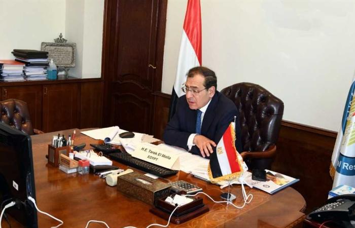 #المصري اليوم - مال - المجر تبحث فرص الاستثمار في قطاع البترول المصري موجز نيوز