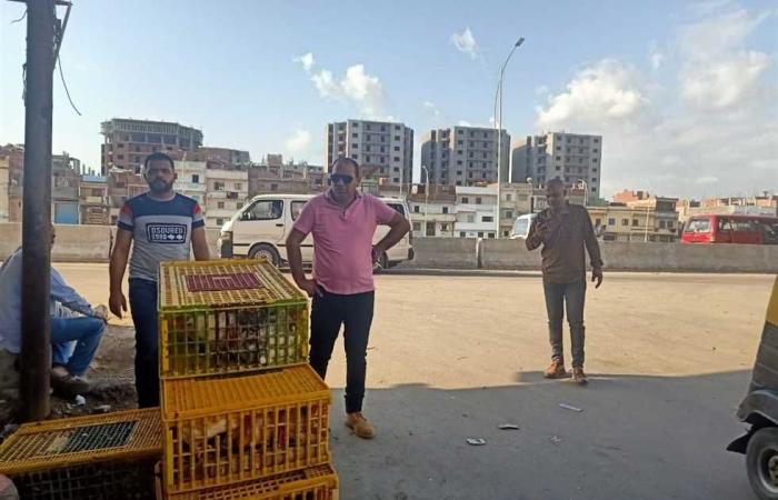 المصري اليوم - اخبار مصر- إزالة فورية لسوق الأحد في «خورشيد» موجز نيوز