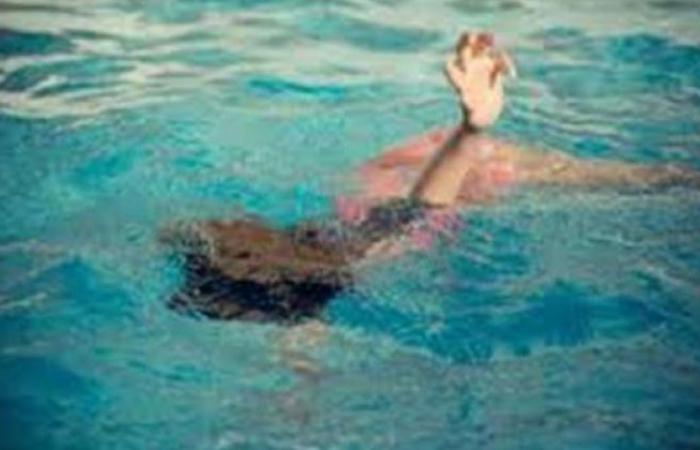 الوفد -الحوادث - مصرع طفلة غرقًا في ترعة الحاجر بالبحيرة موجز نيوز