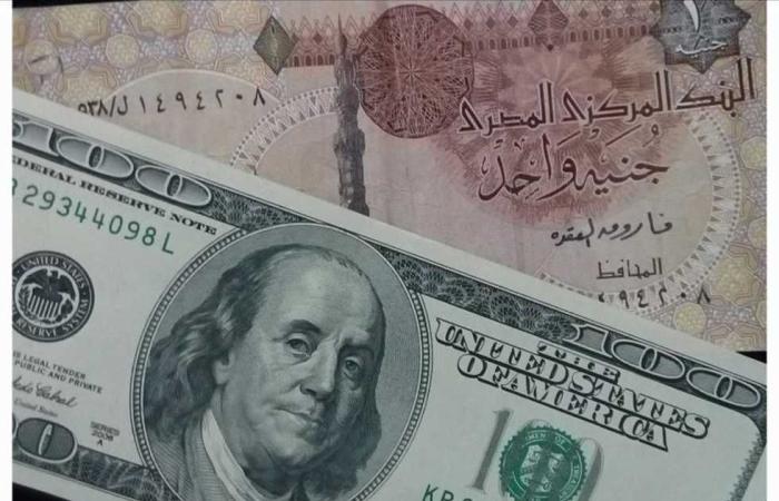 #المصري اليوم - مال - «نشرة المركزي الأسبوعية»: أكبر مكسب للدولار كان في سبتمبر موجز نيوز