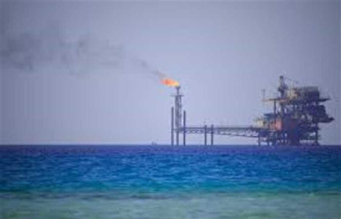 #المصري اليوم - مال - «مستثمرو الغاز»: وزير البترول أبدى استعداده لإعادة التسعير وجدولة ديون المستثمرين موجز نيوز