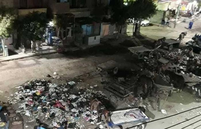 المصري اليوم - اخبار مصر- القمامة تحاصر مدينة العياط.. والأهالي يستغيثون بالمحافظ (صور) موجز نيوز