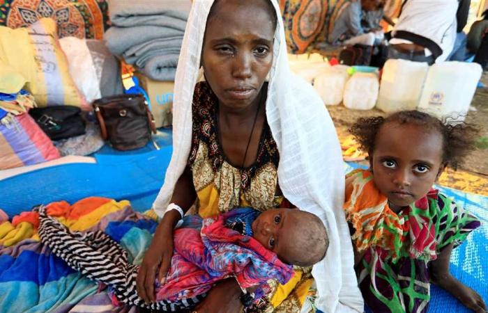 #المصري اليوم -#اخبار العالم - الأمم المتحدة: السودان يحتاج 150 مليون دولار لانقاذ الإثيوبين اللاجئين موجز نيوز