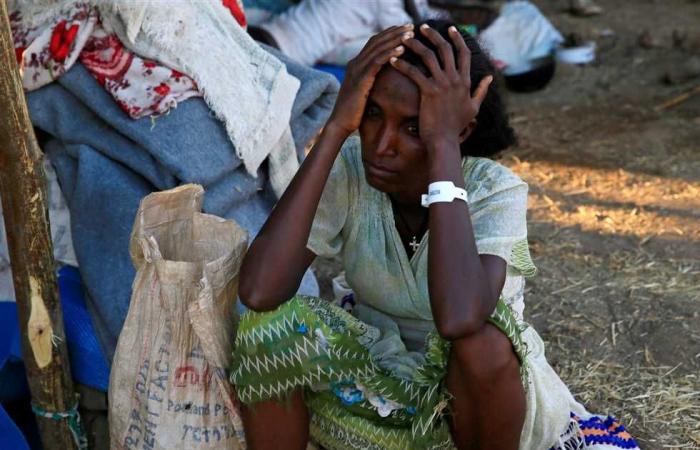 #المصري اليوم -#اخبار العالم - إثيوبيا والأمم المتحدة تتفقان على وصول المساعدات الإنسانية لتيجراي موجز نيوز