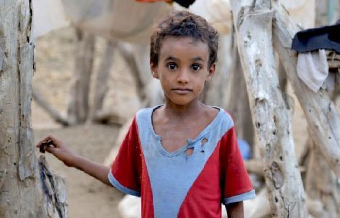 فيديو|  حرب اليمن.. 6 سنين تشريد ومجاعة وضحايا بالآلاف