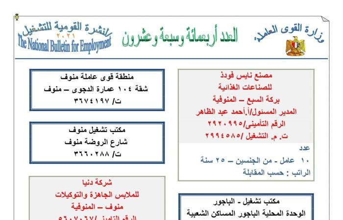 المصري اليوم - اخبار مصر- برواتب تصل إلى 5300 جنيه.. القوى العاملة تعلن عن 3622 وظيفة (الشروط والتفاصيل) موجز نيوز