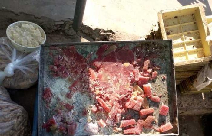 المصري اليوم - اخبار مصر- غلق مصنعين وإعدام 13 طن أغذية في حملة لـ«صحة الشرقية» موجز نيوز
