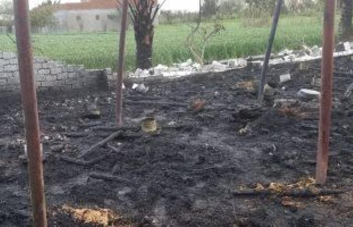 #اليوم السابع - #حوادث - حريق يلتهم 16 ألف دجاجة بمزرعة دواجن فى كفر الشيخ