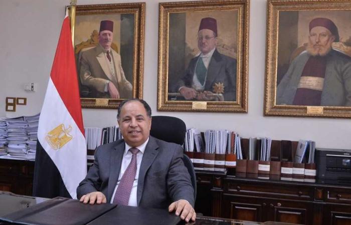 #المصري اليوم - مال - وزير المالية يصدر قرارا بإجراءات الانضمام لـ«التسجيل المسبق للشحنات» موجز نيوز