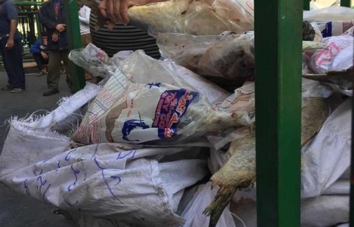 #المصري اليوم -#حوادث - إحباط ترويج 8.5 طن لحم مفروم في الأسواق بالقليوبية موجز نيوز