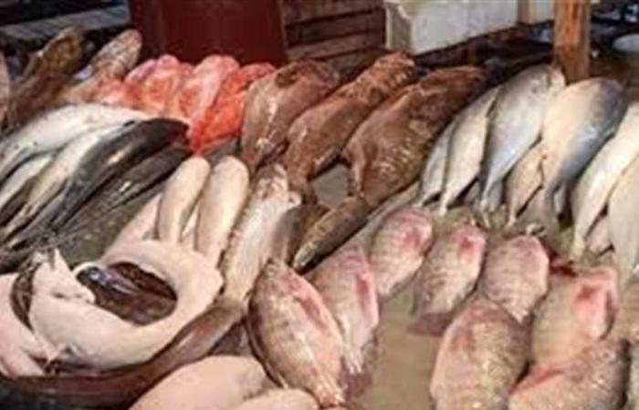 #المصري اليوم - مال - انخفاض أسعار الأسماك واستقرار اللحوم موجز نيوز