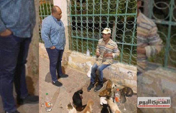 #المصري اليوم -#حوادث - رفض دعوى «الرفق بالحيوان» لوقف قتل قطط وكلاب الشوارع موجز نيوز