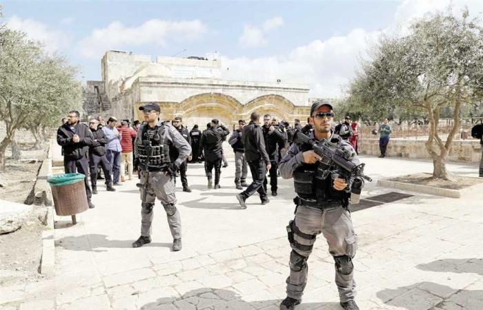 #المصري اليوم -#اخبار العالم - القدس: عشرات المستوطنين يقتحمون باحات المسجد الأقصى موجز نيوز