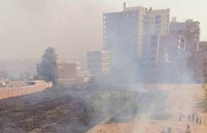 #اليوم السابع - #حوادث - السيطرة علي حريق اندلع في 3 أفدنة مزروعة بالقصب فى محافظة قنا