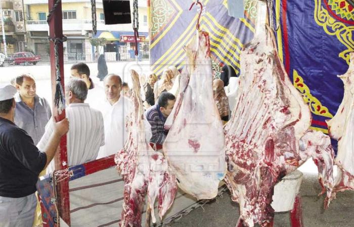 #المصري اليوم - مال - مع اقتراب شهر رمضان.. تعرف على أسعار اللحوم والدواجن فى الأسواق موجز نيوز
