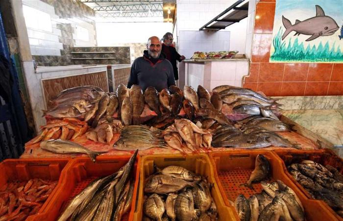 #المصري اليوم - مال - بعد انخفاضها.. تعرف على أسعار السمك في سوق العبور موجز نيوز
