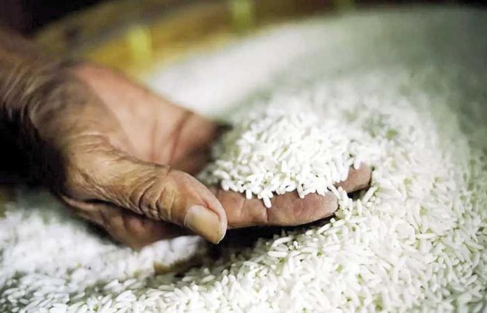 #المصري اليوم - مال - «صناعة الحبوب» تبدأ توريد الدفعة الثالثة من الأرز المحلى لـ«التموين» موجز نيوز