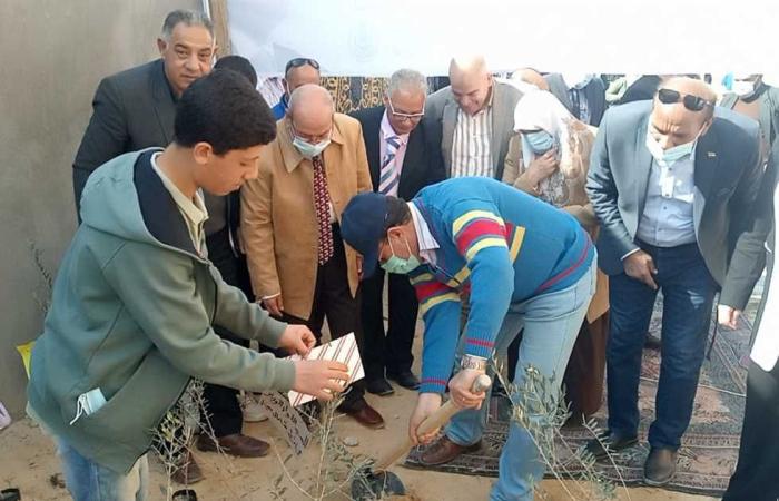 المصري اليوم - اخبار مصر- محافظ شمال سيناء يشارك في مبادرة لزراعة 50 شجرة زيتون بالعريش موجز نيوز
