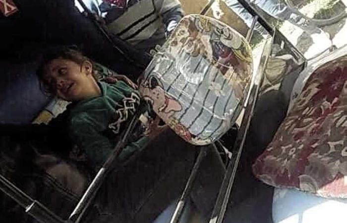 #المصري اليوم -#حوادث - حبس المتهم بقتل سيدة وابنها بـ«ساطور» في المنيا موجز نيوز