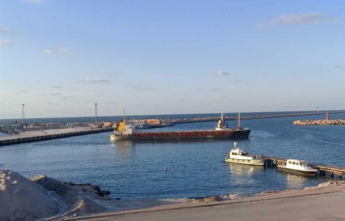المصري اليوم - اخبار مصر- 79 سفينة السخنة والأدبية يستقبلان ٧٩ سفينة في مارس موجز نيوز
