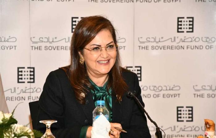 #المصري اليوم - مال - وزيرة التخطيط : مواجهة تحديات كورونا تحتاج زيادة الاستثمارات موجز نيوز