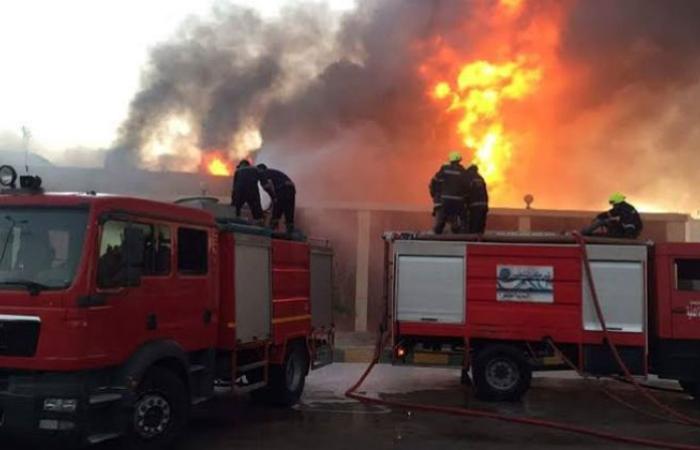الوفد -الحوادث - نفوق 3 رؤوس ماشية في حريق حظيرة بالدقهلية موجز نيوز