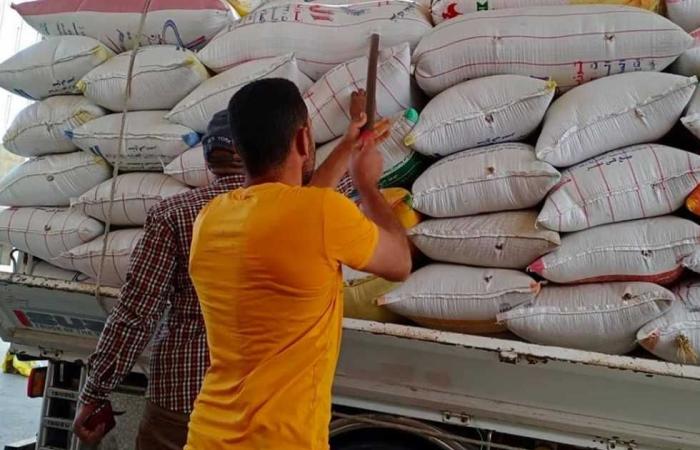 المصري اليوم - اخبار مصر- «مزارعي المنيا» يتوافدون على 41 موقع لتوريد محصول القمح موجز نيوز