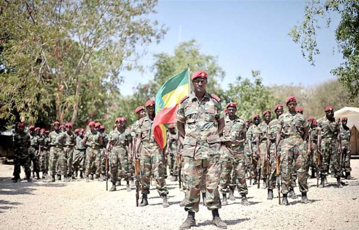 #المصري اليوم -#اخبار العالم - أمريكا: لا مؤشر على انسحاب قوات إريتريا من إقليم تيجراي الإثيوبي موجز نيوز