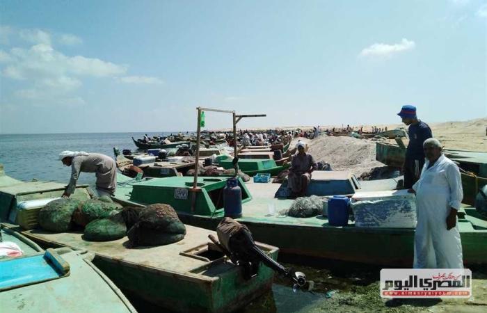 المصري اليوم - اخبار مصر- افتتاح موسم الصيد في بحيرة البردويل شمال سيناء موجز نيوز
