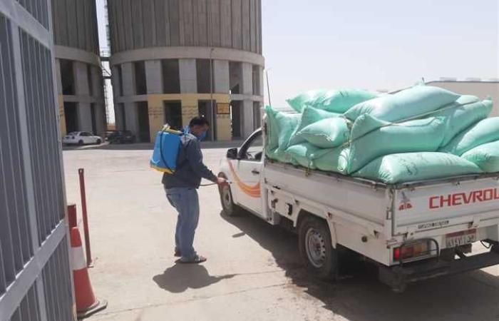 المصري اليوم - اخبار مصر- محافظ البحيرة : توريد 40 ألف طن من القمح إلى الصوامع والشون (صور) موجز نيوز