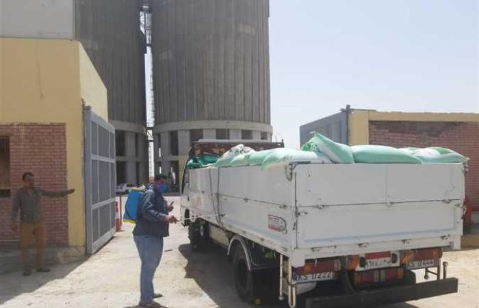 المصري اليوم - اخبار مصر- محافظ البحيرة : توريد 40 ألف طن من القمح إلى الصوامع والشون (صور) موجز نيوز