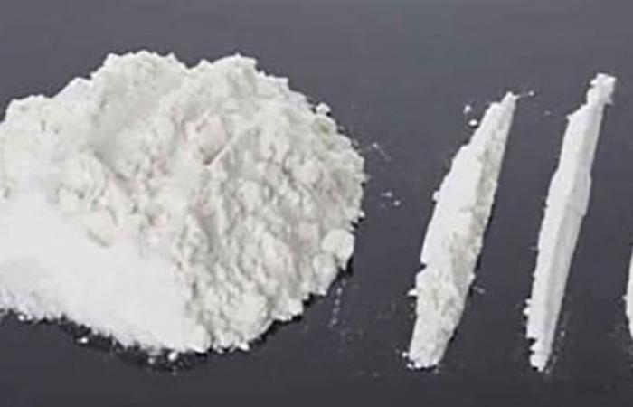 الوفد -الحوادث - ضبط 2.2 كيلو هيروين في مداهمات لأوكار تجارة المخدرات موجز نيوز