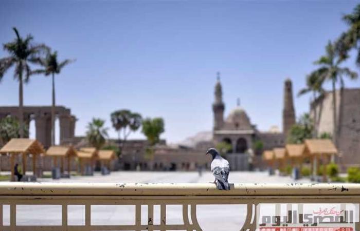 المصري اليوم - اخبار مصر- الإسكندرية فى شم النسيم.. لم يحضر أحد (صور) موجز نيوز