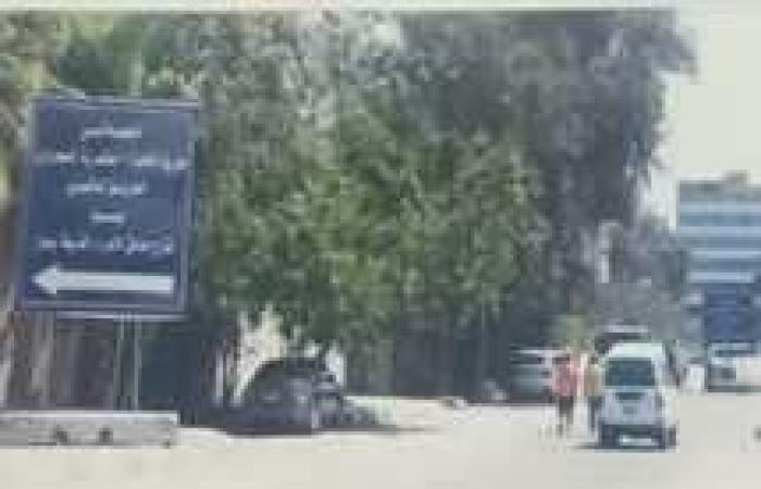 المصري اليوم - اخبار مصر- محافظ الجيزة يطالب الشركة المنفذة لتطوير شارع النيل بزيادة الورديات موجز نيوز
