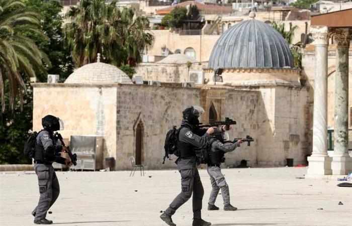 #المصري اليوم -#اخبار العالم - مفتي الشيشان: العدوان الإسرائيلي على القدس والمسجد الأقصى عمل إرهابي موجز نيوز