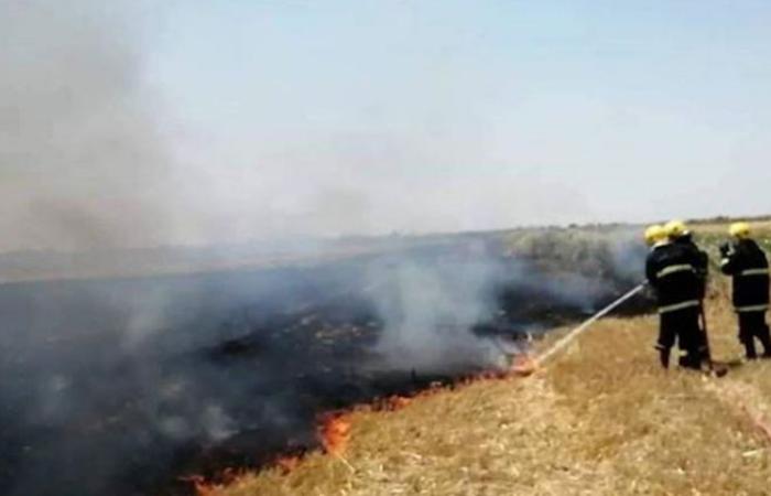 الوفد -الحوادث - إخماد حريق في أرض فضاء بكورنيش حدائق حلوان موجز نيوز