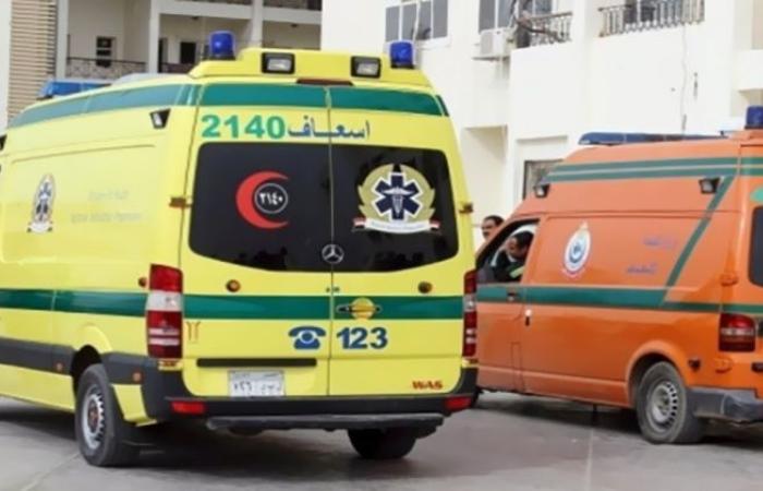 الوفد -الحوادث - دهسته سيارة.. وفاة عجوز أسفل العجلات في بورسعيد موجز نيوز