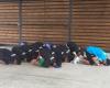 رياضة عالمية السبت ماركا: صلاة المسلمين تصنع الحدث في كأس دولية للبراعم