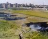 #اليوم السابع - #حوادث - السيطرة على حريق بقش الأرز بجوار مدرسة إعدادية بالدقهلية
