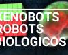 اخبار التقنيه تعرف على Xenobot.. أول “روبوت حي ذاتي الالتئام”