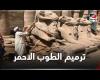 #بالفديو - «الكباش فوق والطوب الأحمر تحت».. أزمة ترميم في معبد الأقصر موجز نيوز